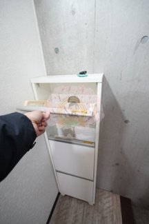 【その他】 | フォセット白楽