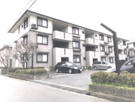 Gティファニーの画像