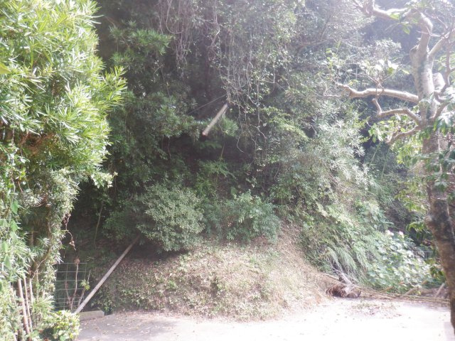 館山小原の周辺