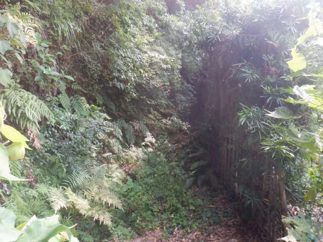 館山小原の周辺