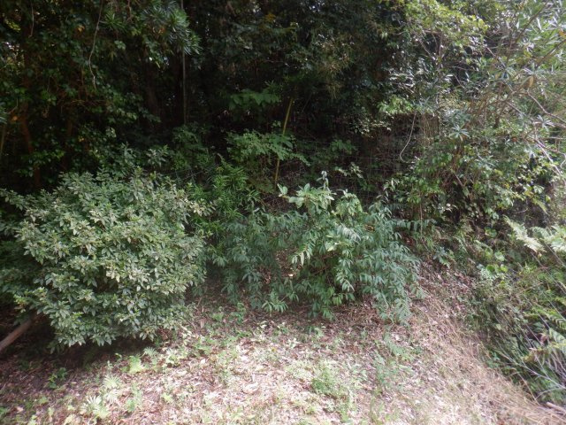 館山小原の外観