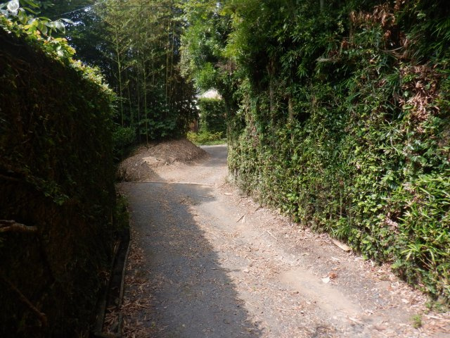 館山小原の周辺