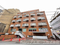 松濤サン・エルサの画像