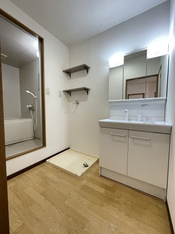 ブラウンシャトーの洗面所