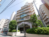 友井グレイスの画像