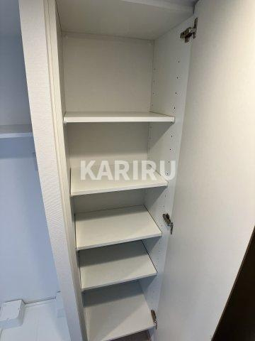 ワールドアイ大阪城EASTアドバンスの収納