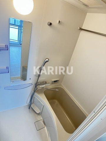 ワールドアイ大阪城EASTアドバンスの浴室