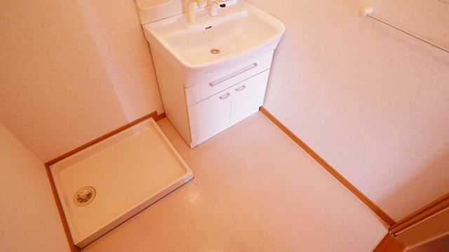 アレスト・イーグルB棟の洗面所