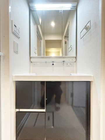 ルーエ池下の洗面所