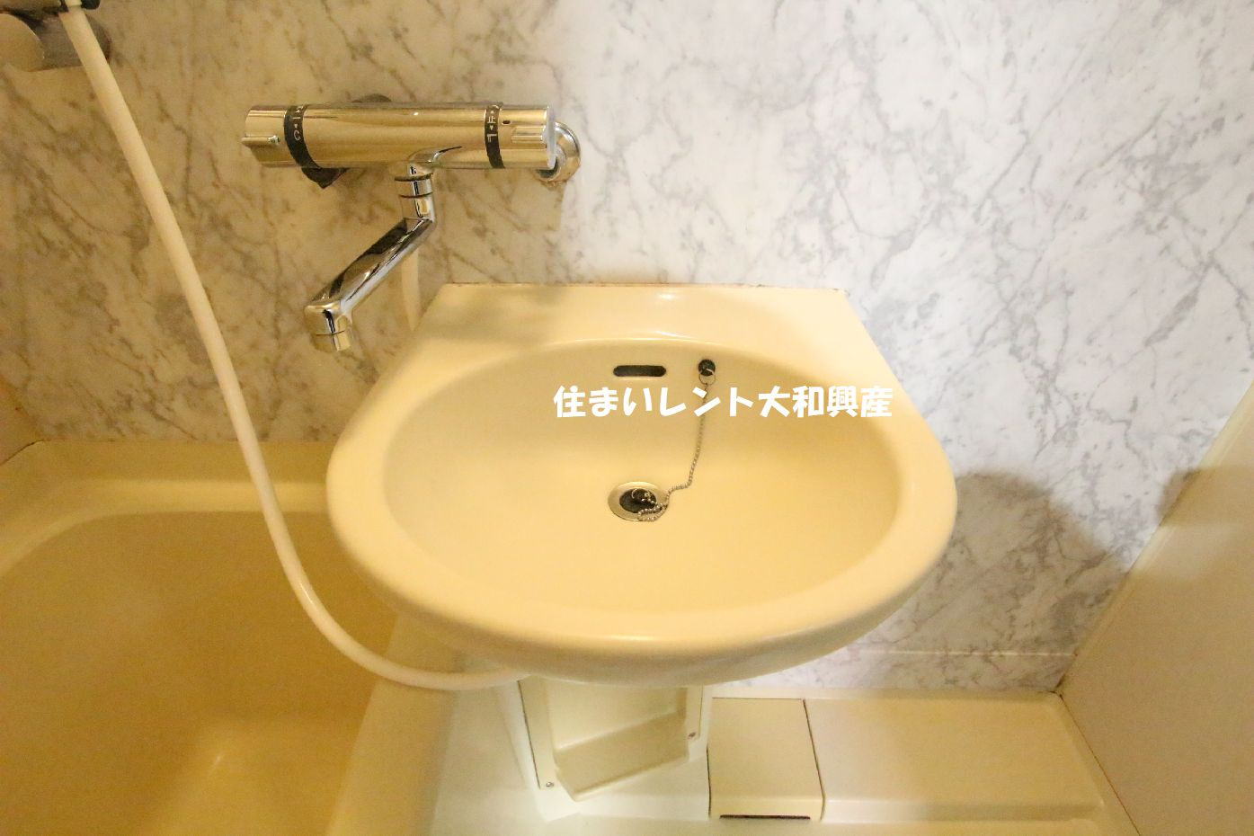 フラットストーン相模の洗面所