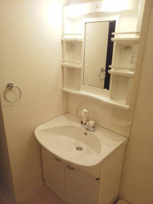 コート辻の洗面所