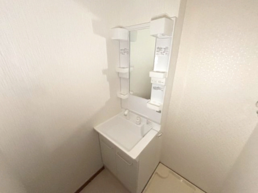 ヴィアーノ神戸上筒井通ＥＡＳＴ　の独立洗面台