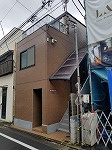 サンルピナスFの画像