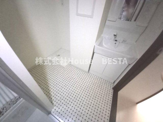 SDグランツ三川口の洗面所