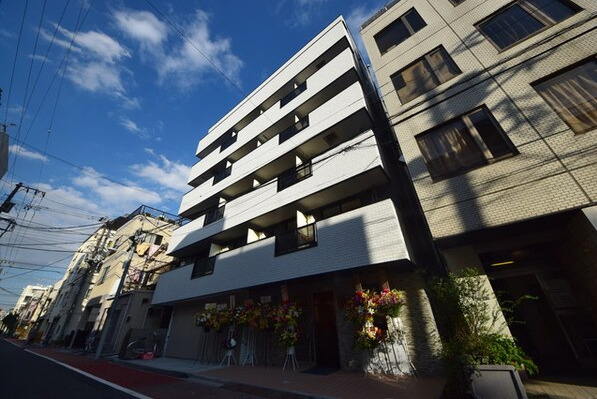 レッドウィングの外観