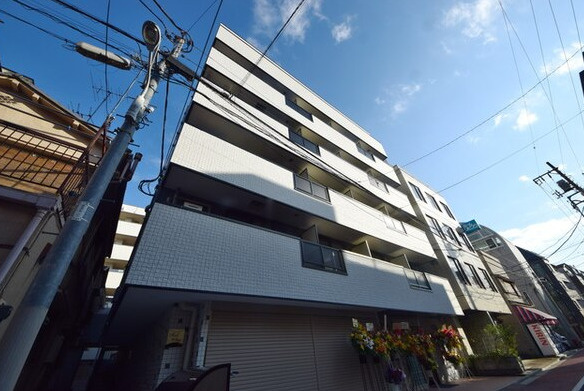 レッドウィングの外観