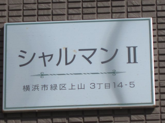 シャルマンⅡのその他