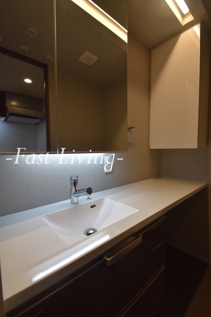 ブランシエスタ飯田橋の洗面所