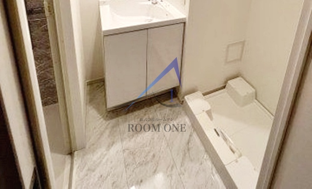 ハーモニーレジデンス武蔵小杉♯002の洗面所|洗面台です。