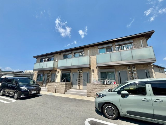 サーコリンの外観