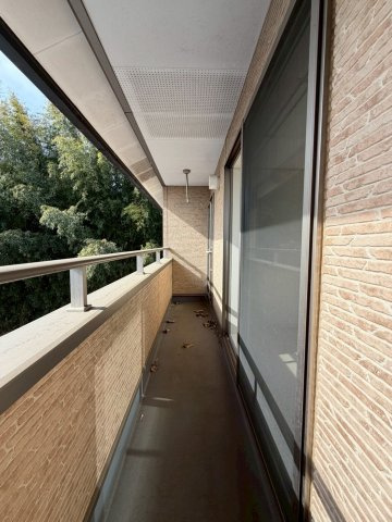 【中古戸建】桐生市新里町大久保のバルコニー|■バルコニー｜南に面したバルコニーで洗濯物もお日様ポカポカ