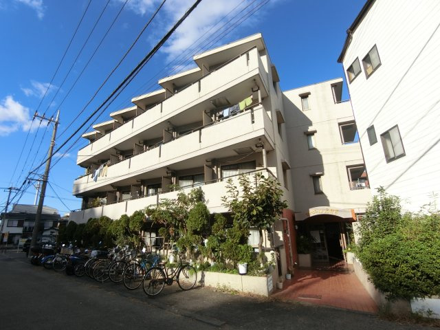 セザール元住吉