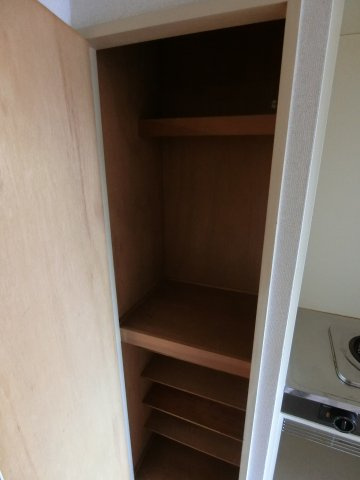 セザール元住吉の収納|他のお部屋の参考写真となります。