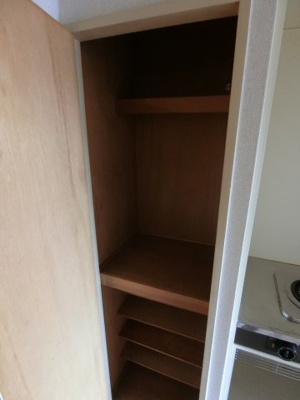 【収納】 | セザール元住吉 | 他のお部屋の参考写真となります。