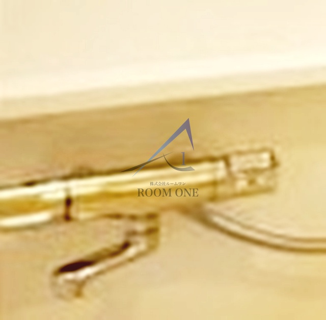 ＬＵＣＵＬＩＡ　ＣＯＵＲＴ