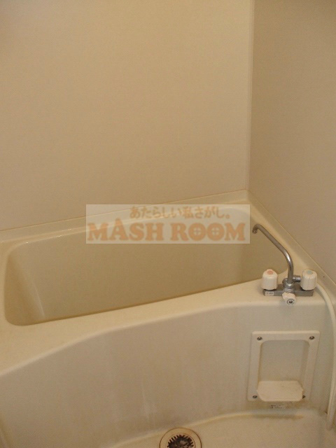 ハイツドルチェの浴室