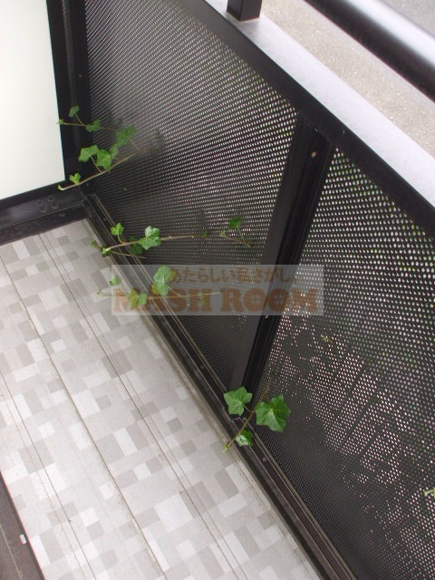 ハイツドルチェのバルコニー