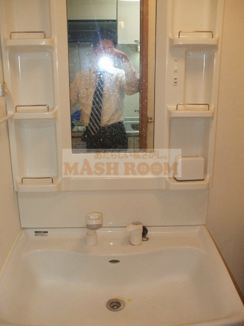 ハイツドルチェの洗面所