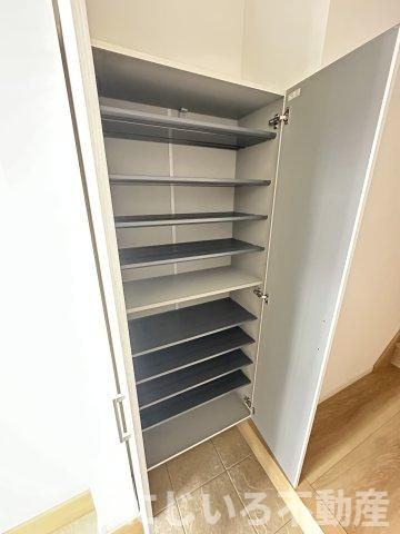 トレランスMの収納