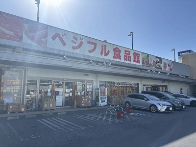 【周辺】 | レオネクストメゾン　グリシーヌ