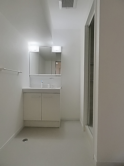 ウェルフォート幸川の洗面所