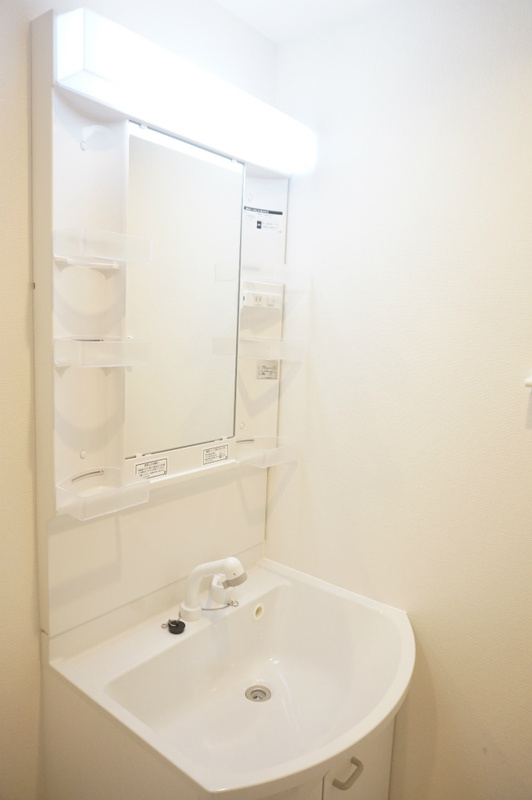 グレイス大久保の洗面所