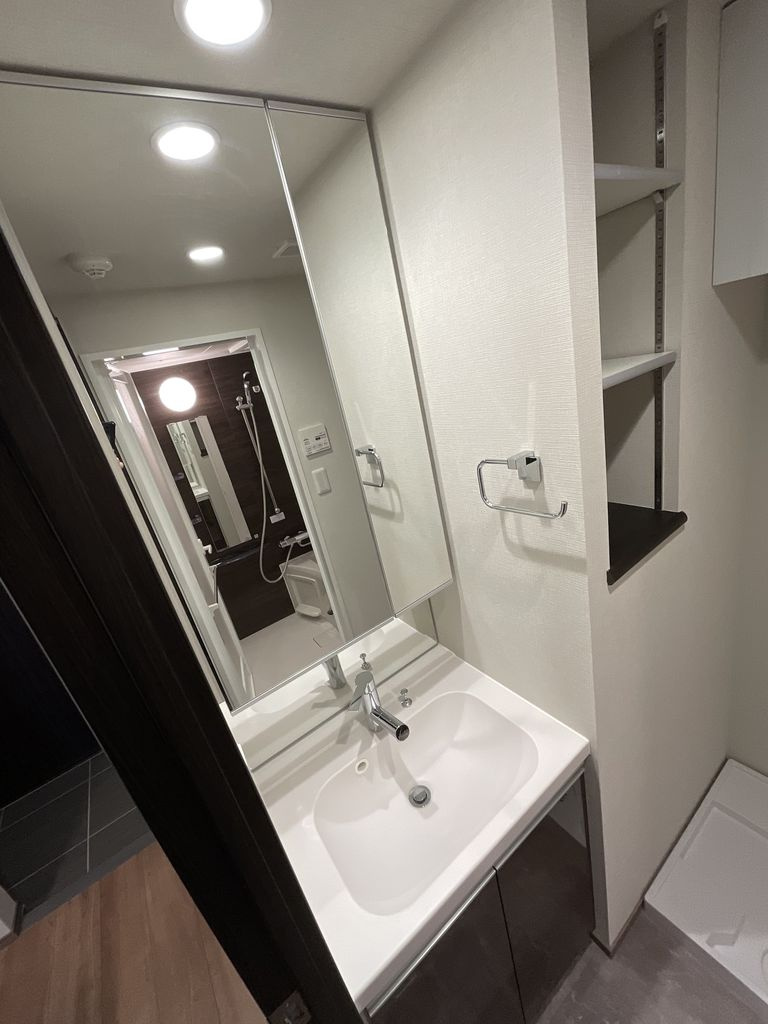 ＧＲＡＮ ＰＡＳＥＯ 浅草橋Ⅱの洗面所