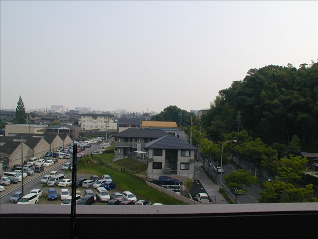 けやき通りのその他