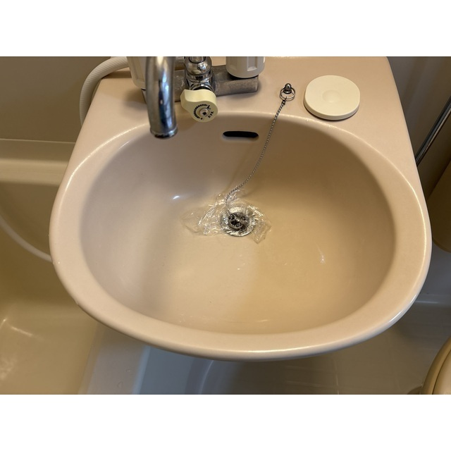 リエス館林の洗面所