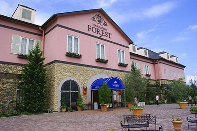 【周辺】 | ウィステリアＢ | 花園フォレストまで1200m