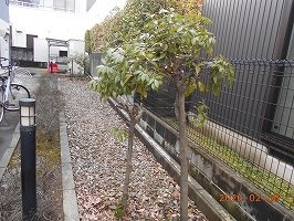 レオパレス重藤のその他