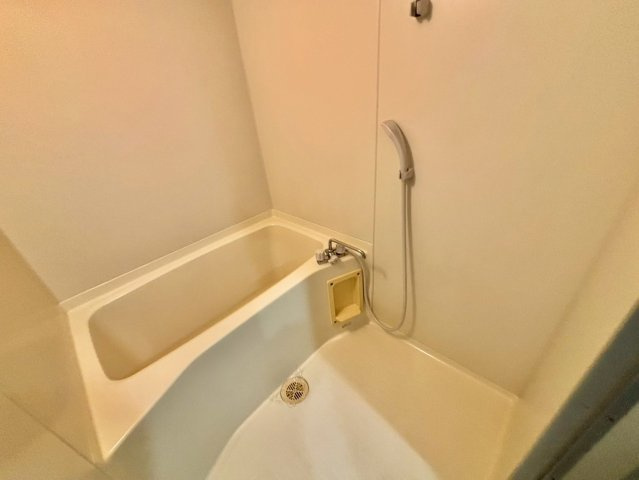 ヴィラ・プリマベーラの浴室