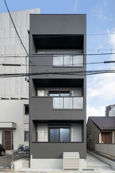 Anecis花の木
