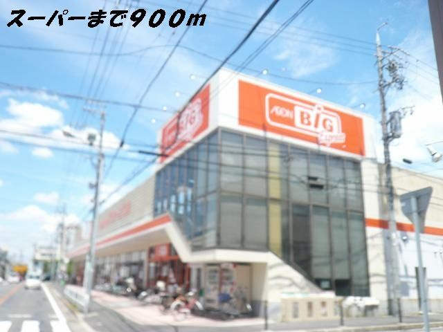 椛（もみじ）のその他