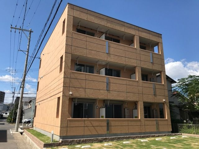 ラズベリー