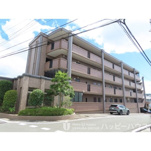 ピア白水ヶ丘の画像