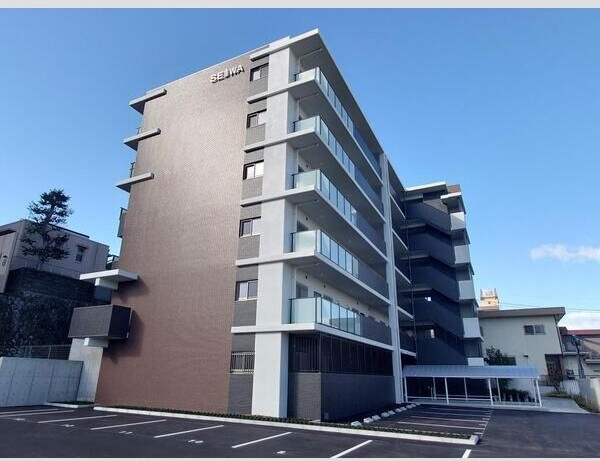 リアレクト白壁