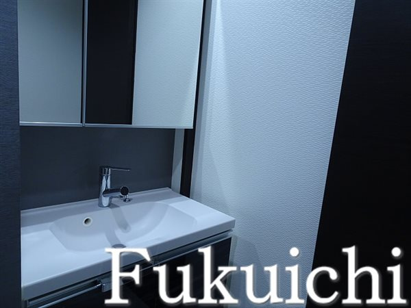 LiveFlat学芸大学 の洗面所