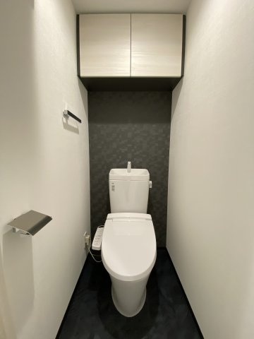 S-RESIDENCE菊川rivieのトイレ