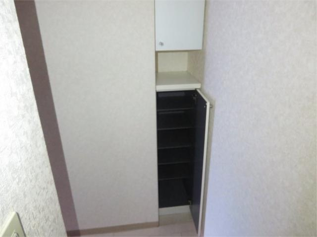 川崎市多摩区東三田３丁目の賃貸マンションの収納|シューズＢＯＸ内部